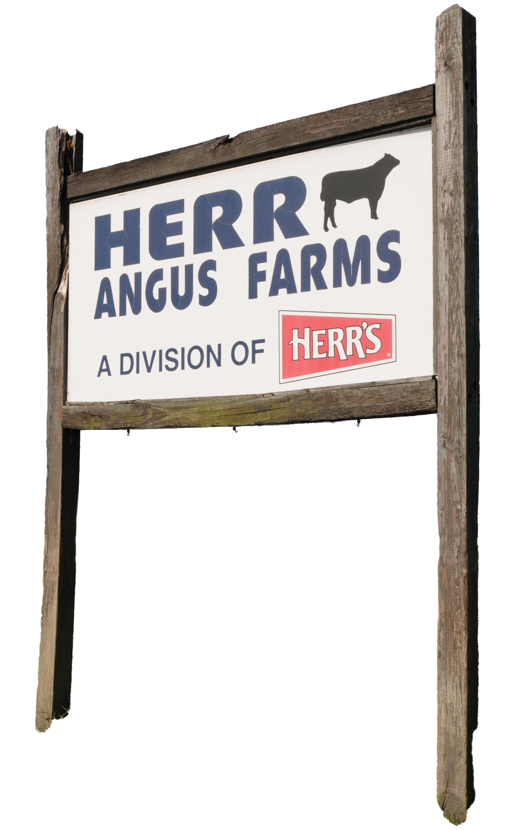 Angus Farms